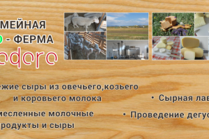 Feodoro выставочный банер