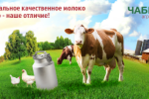 Баннер для агрофирмы Чебрец