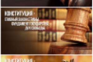 Баннер для конституционной палаты