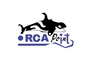 Логотип. IT компания.