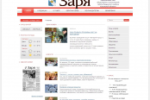 Общественно политическая газета.  сайт под ключ на cms WordPress