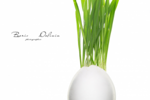 Работа 3705457