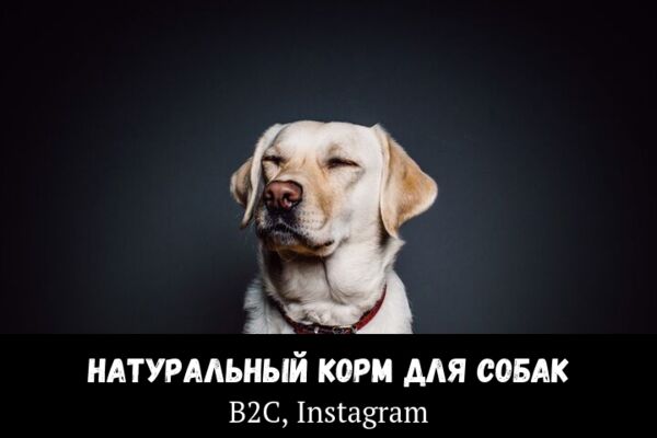 img3750898.png