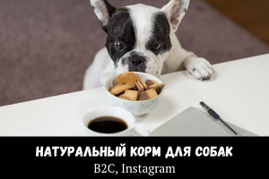 B.A.R.F(анимированная stories highlights Instagram)