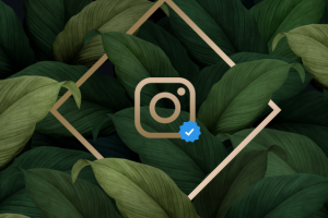 Полное Ведение INSTAGRAM