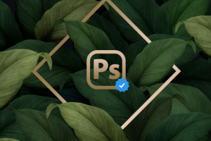 Оформления соц.сетей (VK, Inst, FB, YouTube, Ok,). Банеры сайтов