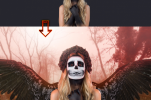 Коллаж "Dark Angel"