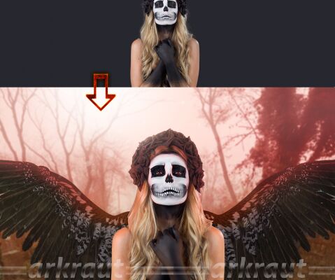 img3144033.png
