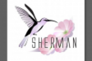 Фирменный стиль "Sherman"