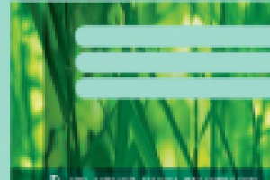 Фирменный блокнот "Healthyway"