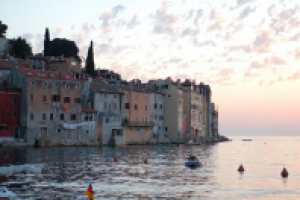 Работа 1227334