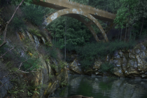 Работа 3518009