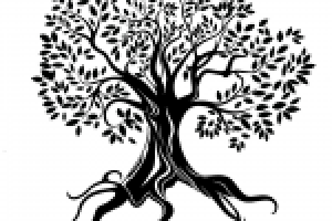 Работа 2992701