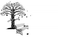 img2992699.png