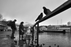 Работа 1840831