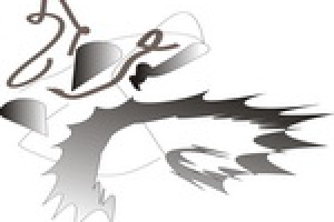 Работа 3000547