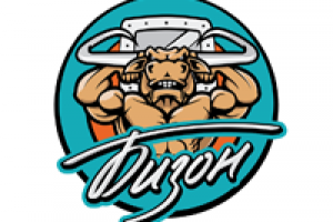 Логотип компании «Бизон»