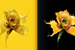 Работа 1575710