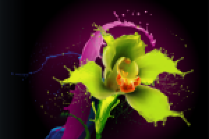 Работа 1575705