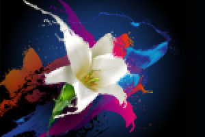 Работа 1575702