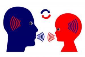 Обезъянка видит - обезъянка делает