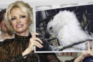 Этика вегетарианства