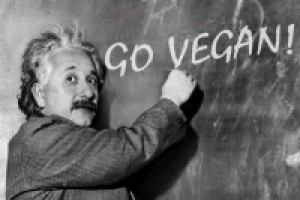 История вегетарианства