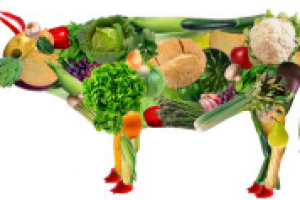 Высокая цена дешевого мяса