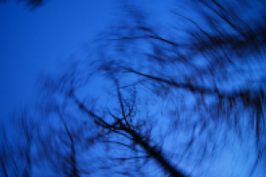 Работа 2023767