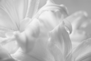 Работа 2023760