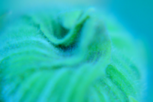 Работа 2023729