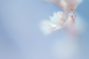 Работа 2023727