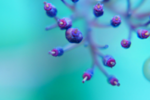 Работа 2023721