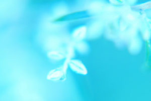 Работа 2023719