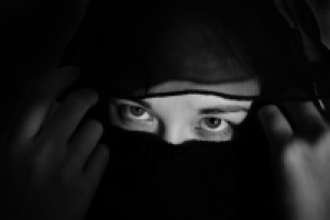 Работа 2023790