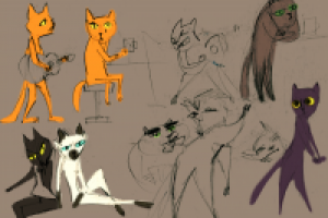 Котики для клипа