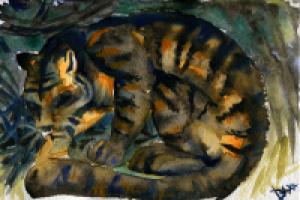 Тигр акварелью