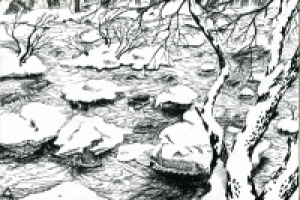 С натуры (Сестрорецк 2013)