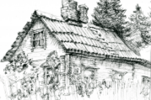 С натуры (Карелия)