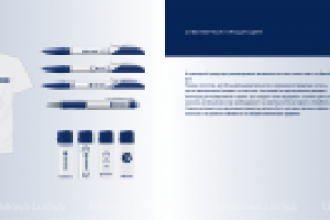 Фрагменты брэндбука. Разворот.