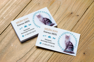 Визитка для заводчика Мейн-кунов