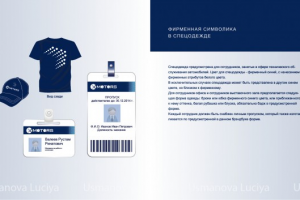 Работа 2713968