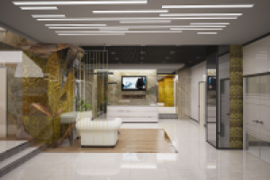 Холл для группы компаний / офисы