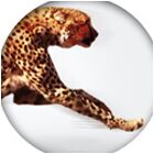img1920934.png