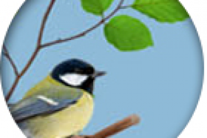 Коттеджный поселок "Велеми"