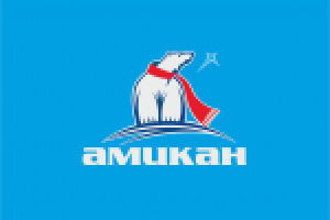 Торгово-транспортная компания "Амикан"