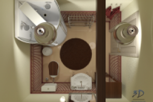 Визуализация с/у