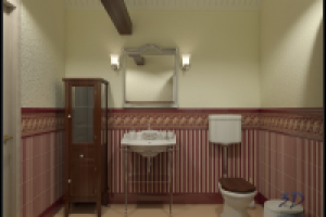 Визуализация с/у