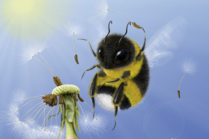 Растровая иллюстрация