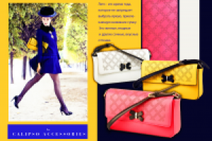 Представление коллекции сумок и аксессуаров s/s2015 для CALIPSO